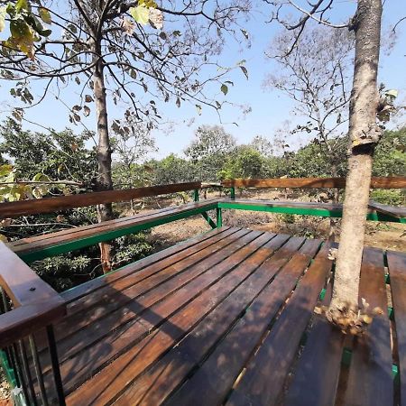 Hornbill Farm Resort 海得拉巴 外观 照片